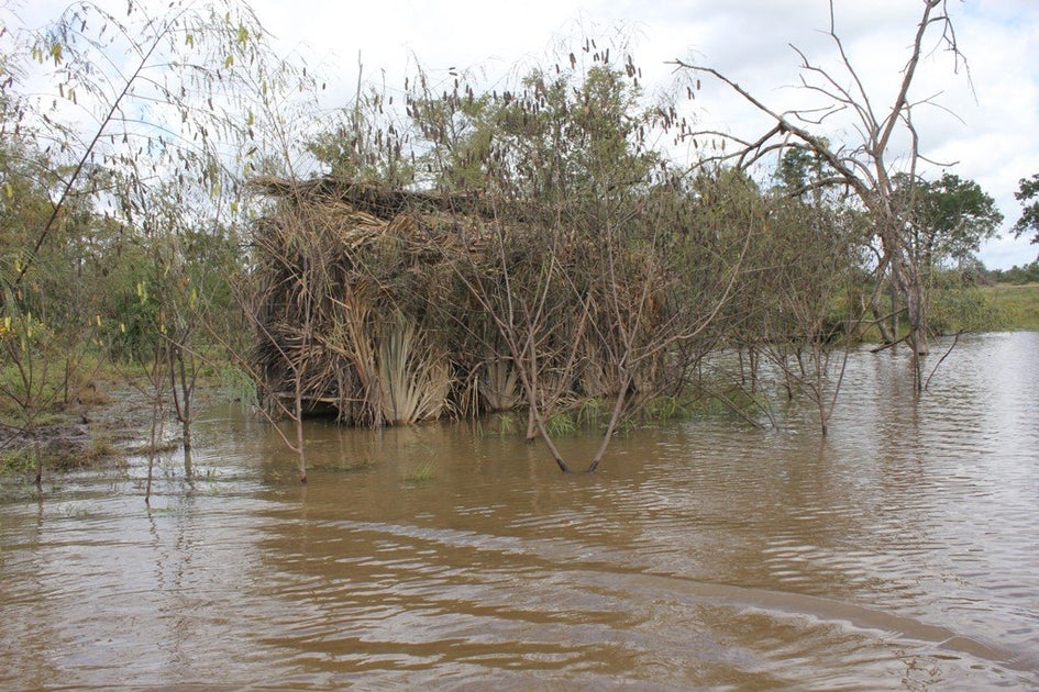 How to brush a duck blind